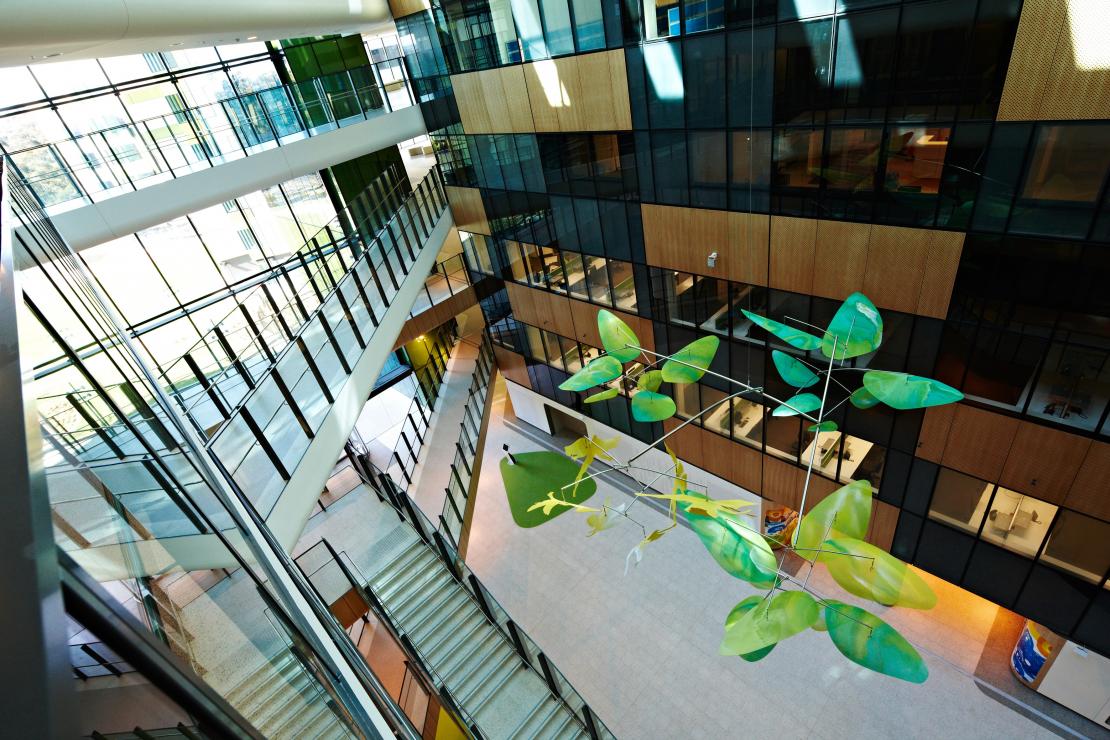 Sky Garden by Jade Oakley, Royal Children’s Hospital, Melbourne VIC